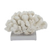 Elkhorn Coral On Acrylic Base - 3 Sizes