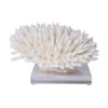 Finger Coral On Acrylic Base - 3 Sizes
