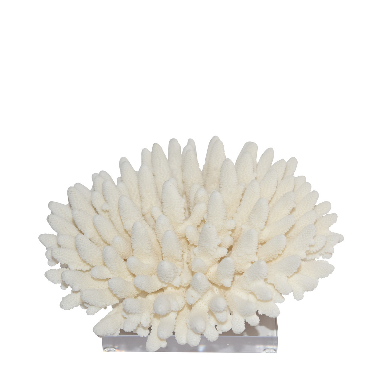 Finger Coral On Acrylic Base - 3 Sizes