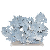 Blue Coral 18-20 Inch On Acrylic Base