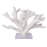 Branch Coral On Acrylic Base Extra Large - 2 Sizes