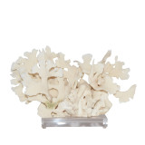 Cactus Coral On Acrylic Base - 3 Sizes