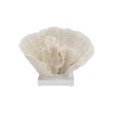 Cup Coral On Acrylic Base - 3 Sizes