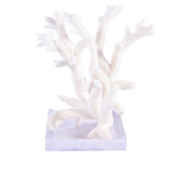 Staghorn Coral On Acrylic Base - 3 Sizes