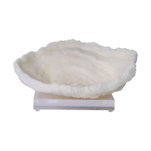 Bowl Coral On Acrylic Base - 2 Sizes