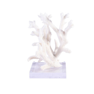 Staghorn Coral On Acrylic Base - 3 Sizes