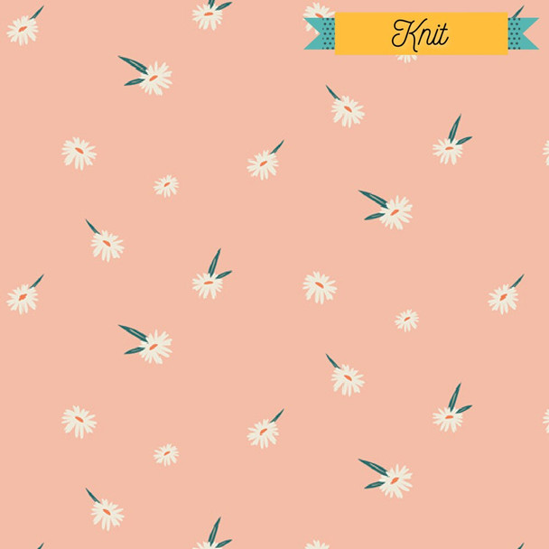 Pink Daisy KNIT fabrics design