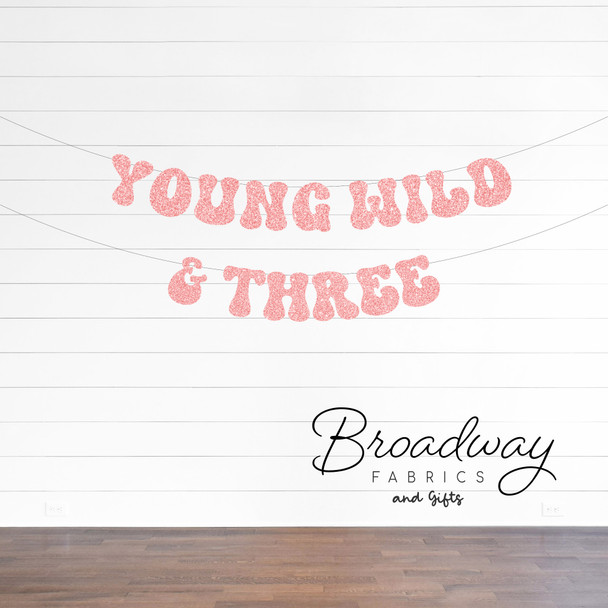 Young Wild & Three - retro 3rd birthday party banner 