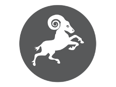 Aries Star Sign