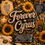 Forever Cyrus Squeezable Wax Melt