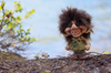 Authentic Trolls from Norway ON SALE | 'Little Lena' Troll, 3.7" | Lindenhaus Imports in Helen, GA