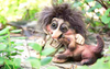 Authentic Trolls from Norway ON SALE | Troll with Dog, 3" | Lindenhaus Imports in Helen, GA