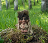 Authentic Trolls from Norway ON SALE! | Norwegian Troll in Tree Stump, 3.3" | Lindenhaus Imports in Helen, Ga