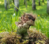 Authentic Trolls from Norway ON SALE! | Norwegian Laughing Troll Holding Belly, 3" | Lindenhaus Imports in Helen, Ga