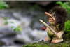 Authentic Norwegian Troll ON SALE! | Fisherman Troll, 4.3" 069 || Lindenhaus Imports in Helen, Ga