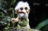 Old Bridge Troll Holding Tail & Stick #111