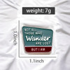 'Not All Who Wander Are Lost, But I Am' Enamel Hat Pin HP-56
