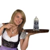 Germany-Deutschland Historical Cities Beer Stein (blue/white)