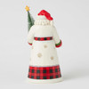 'Santa Delivers' with Sisal Tree 6017023