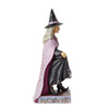 Wicked Spiced Witch with Pumpkins 6014481
