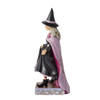 Wicked Spiced Witch with Pumpkins 6014481