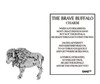 The Brave Buffalo Pocket Charm and Motivational Poem Card ER70935