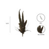 Bavarian Brown & Gold Deluxe Collectible Feather Lapel Hat Pin