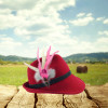 Hat not included Hat not included