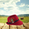 Hat not included