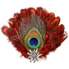 Edelweiss & Red Peacock Deluxe Round Collectible Feather Hat Pin 273PH