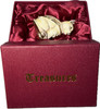 Gift box and necklace included