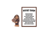 Don't Stop Believing Bigfoot Pocket Charm and Poem Card ER75719