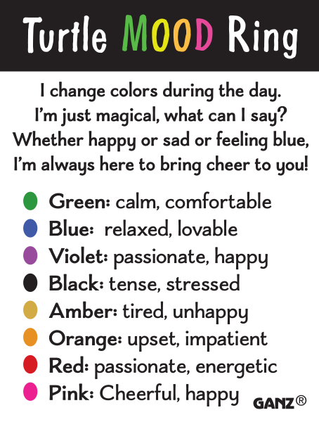 Turtle Color-Changing Mood Ring ER60667 Lindenhaus Imports