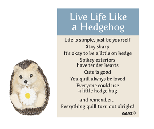 Inspirational Charms ON SALE! || This hedgehog charm is a full of big advice to help guide you to a happy life. It's the perfect pocket-sized keepsake for yourself or a gift for someone special! || Live Life like a Hedgehog Motivational Charm ER60588 || Lindenhaus Imports in Helen, Ga