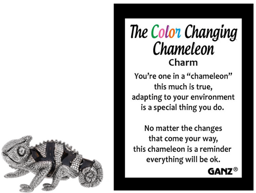 Inspirational Charms ON SALE! || This chameleon charm is reminding you to adapt and change when hard things happen because that's what's so special about you. It's the perfect pocket-sized keepsake for yourself or a gift for someone special! || The Color Changing Chameleon Motivational Charm ER73619 || Lindenhaus Imports in Helen, Ga