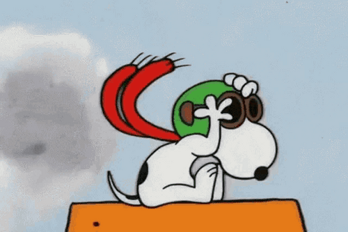 In the famous Peanuts comic strip, Snoopy (aka 'Flying Ace') takes down The Red Baron in his Sopwith Camel. In the famous Peanuts comic strip, Snoopy (aka 'Flying Ace') takes down The Red Baron in his Sopwith Camel.