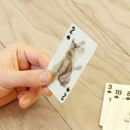 Premium 3D Cats Special Effects Playing Cards 83GG