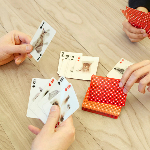 Premium 3D Cats Special Effects Playing Cards