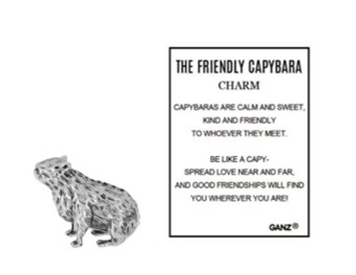 The Friendly Capybara Pocket Charm and Motivational Poem Card ER70937