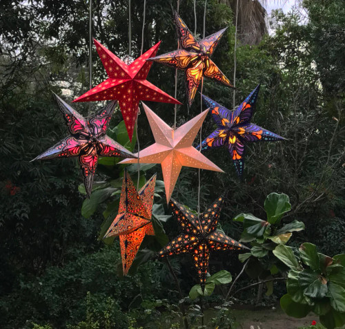Starlightz Earth-Friendly Lanterns (sold separately)