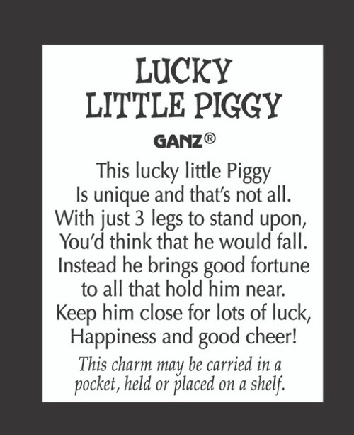 Inspirational Charms ON SALE! || Each order comes with 1 motivational card || Lucky Little Piggy Motivational Charm ER14827 || Lindenhaus Imports in Helen, Ga