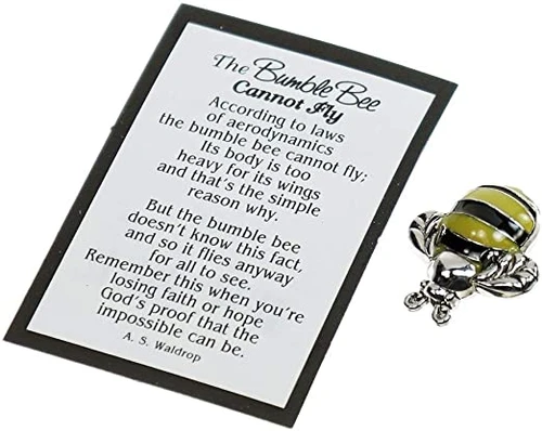 'The Bumble Bee Cannot Fly' Motivational Charm ER28460