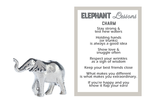 Inspirational Charms ON SALE! || This elephant charm is a full of big advice to help guide you to a happy life. It's the perfect pocket-sized keepsake for yourself or a gift for someone special! || Elephant Lessons Motivational Charm ER53766 || Lindenhaus Imports in Helen, Ga