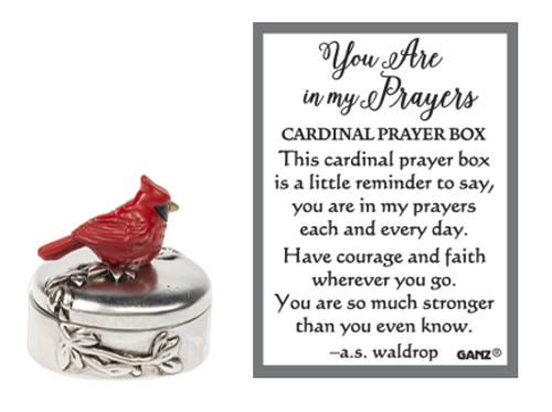 'You are in my Prayers' with 3D Cardinal Pocket Charm ER60882