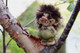 Authentic Trolls from Norway ON SALE | Mini 'Ole Boy Norwegian Troll, 4" 018 | Lindenhaus Imports in Helen, Ga