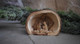 Hand-Carved Olivewood from Bethlehem ON SALE | Arched Cave Grotto with Nativity Scene, 2.75" | Lindenhaus Imports in Helen, Ga