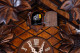 Schneider 7 Leaf/3 Bird 8-Day Traditional German Cuckoo Clock 8T 102/9