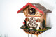 Hedwig Musical Chalet German Cuckoo Clock