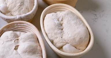 Mastering the Essential Art of Bread Proofing