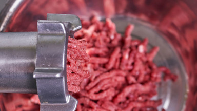 5 Best Meat Grinders of 2024 - Reviewed